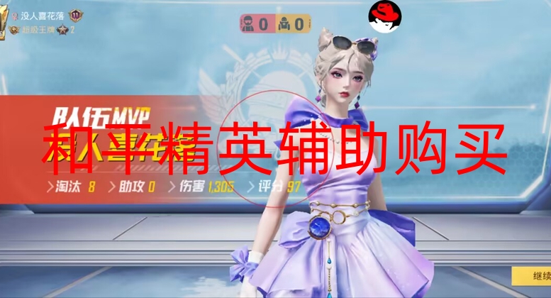 和平精英辅助购买-和平精英直装takeo