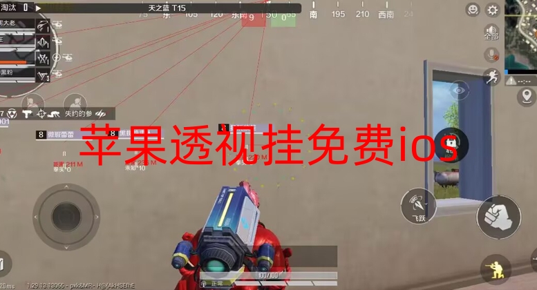 苹果透视挂免费ios-海豚直装