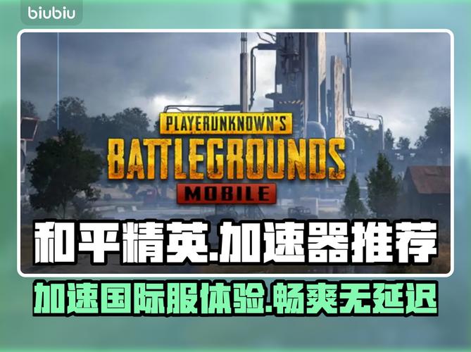 和平精英下载软件-和平精英国际服官方正版介绍