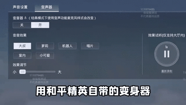 和平精英ios透视辅助器下载苹果版-和平精英变声器ios版免费
